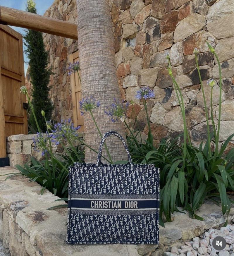 Dior Book Tote – 1:1 Replika aus Canvas mit ikonischem Stickmuster